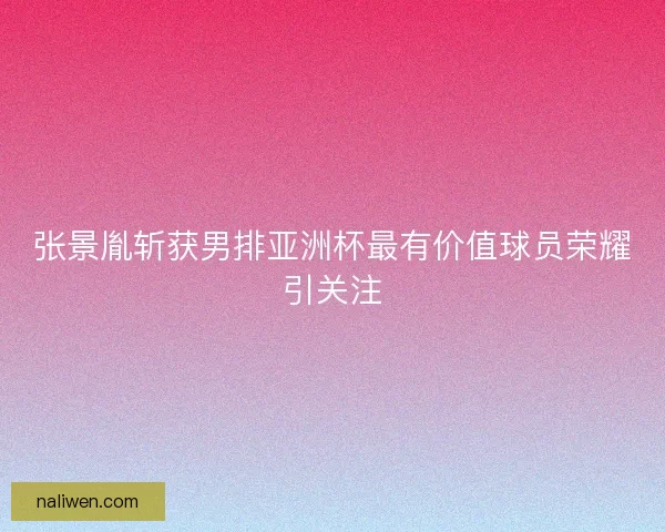 张景胤斩获男排亚洲杯最有价值球员荣耀引关注